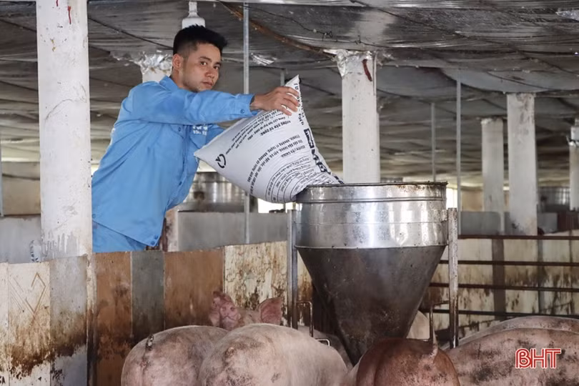 Làm gì để lấp “khoảng trống” BHXH trong các hợp tác xã ở Hà Tĩnh?