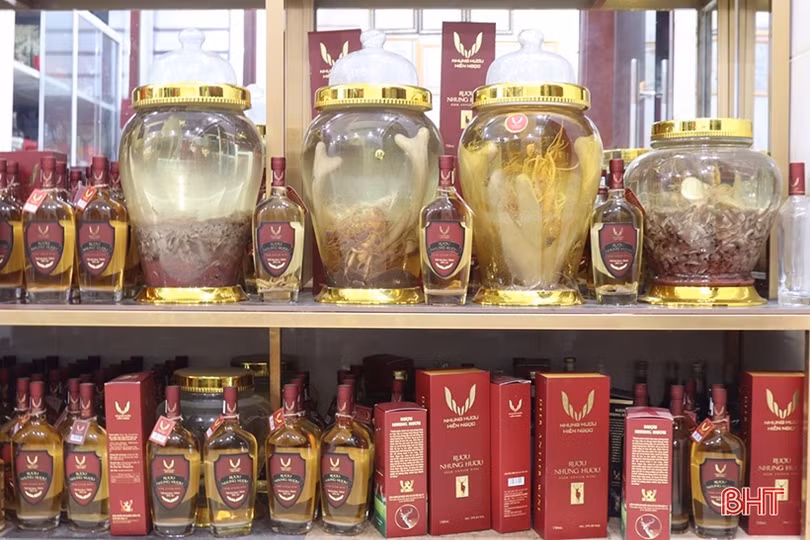 Nông dân Hương Sơn học và làm theo Bác để phát triển kinh tế