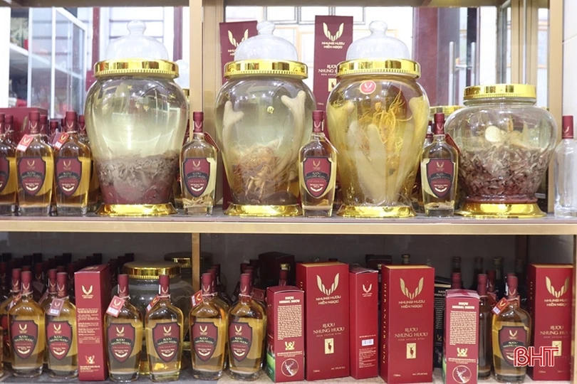 Nông dân Hương Sơn học và làm theo Bác để phát triển kinh tế