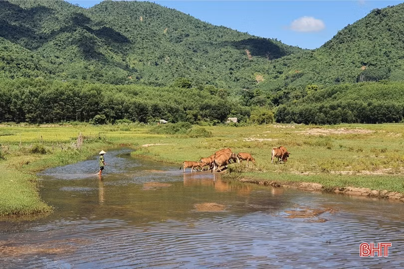 Đập Đá Quại: Chưa mưa đã lũ, chưa nắng đã hạn!
