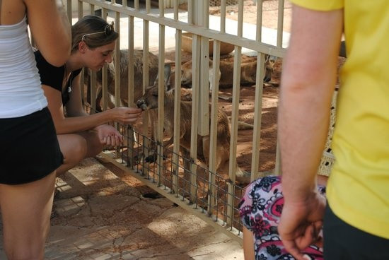 Thị trấn dưới lòng đất tại Australia