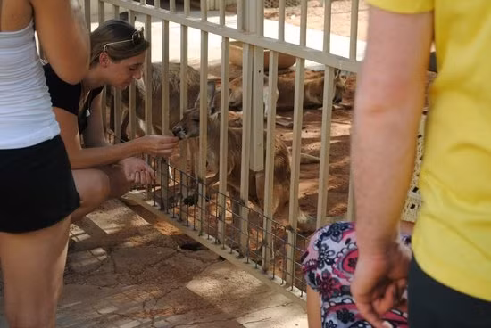 Thị trấn dưới lòng đất tại Australia