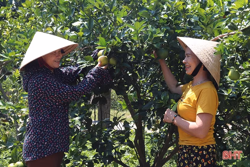 Nữ bí thư chi bộ thôn vùng giáo gần dân, sâu sát cơ sở