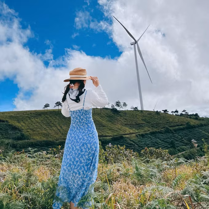 “Săn” ảnh đẹp ở 5 cánh đồng quạt gió nổi tiếng Việt Nam