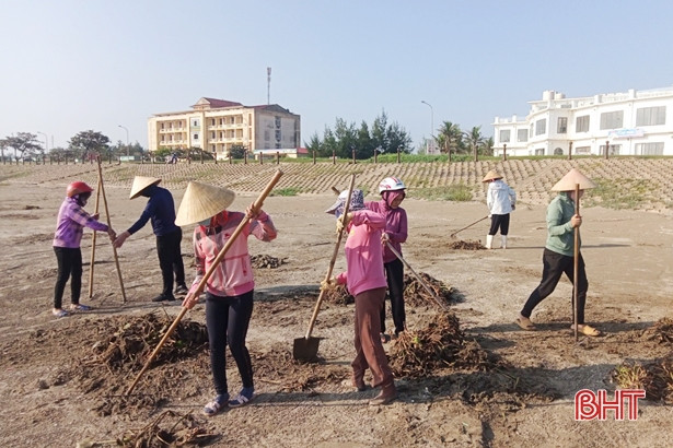 Lộc Hà ra quân thu dọn bèo tây, rác thải dọc bờ sông, bãi biển