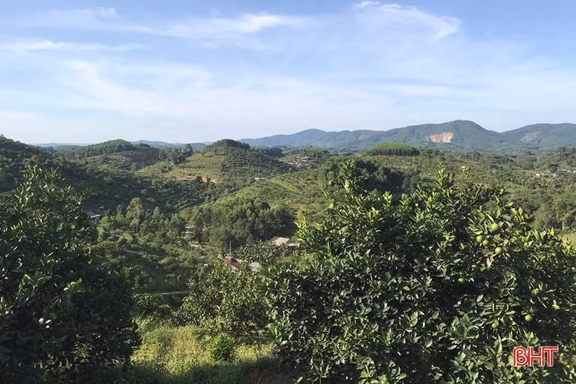 Nông dân Hương Sơn học và làm theo Bác để phát triển kinh tế