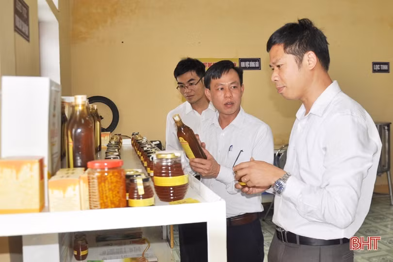 Làm gì để lấp “khoảng trống” BHXH trong các hợp tác xã ở Hà Tĩnh?