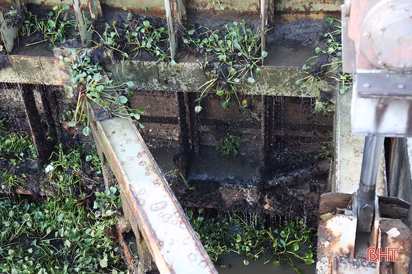 Nhiều hạng mục xuống cấp, bara Đò Điệm gặp khó trong vận hành tiêu thoát