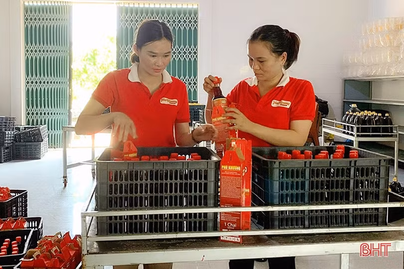 Làm gì để lấp “khoảng trống” BHXH trong các hợp tác xã ở Hà Tĩnh?