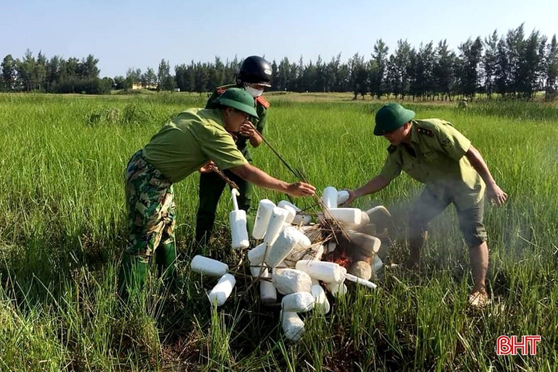 Thu giữ hơn 22.000 dụng cụ bẫy chim ở Nghi Xuân