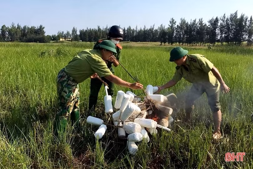 Thu giữ hơn 22.000 dụng cụ bẫy chim ở Nghi Xuân