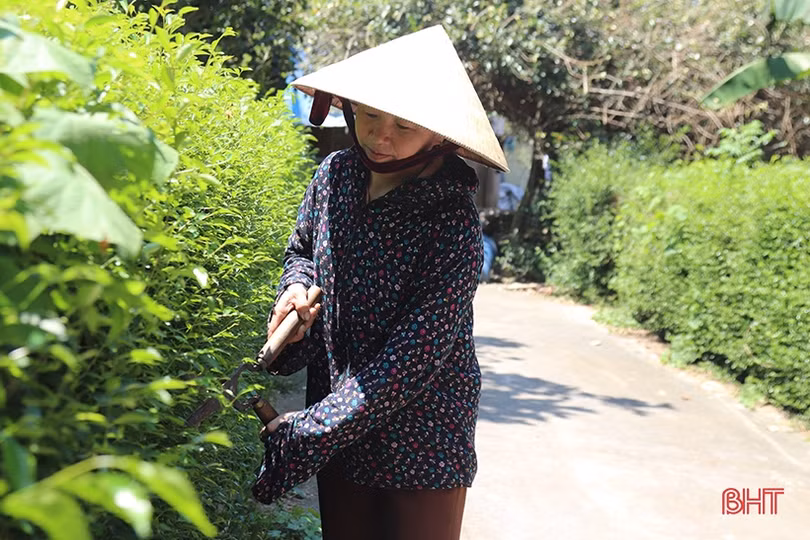 Nữ bí thư chi bộ thôn vùng giáo gần dân, sâu sát cơ sở