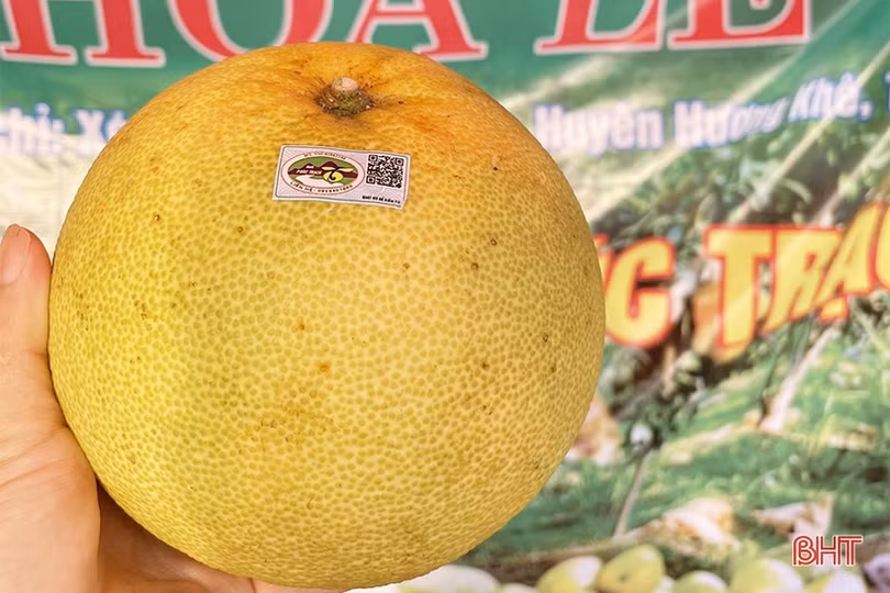 Rộn ràng mua sắm tại phiên chợ quảng bá sản phẩm nông nghiệp Hà Tĩnh