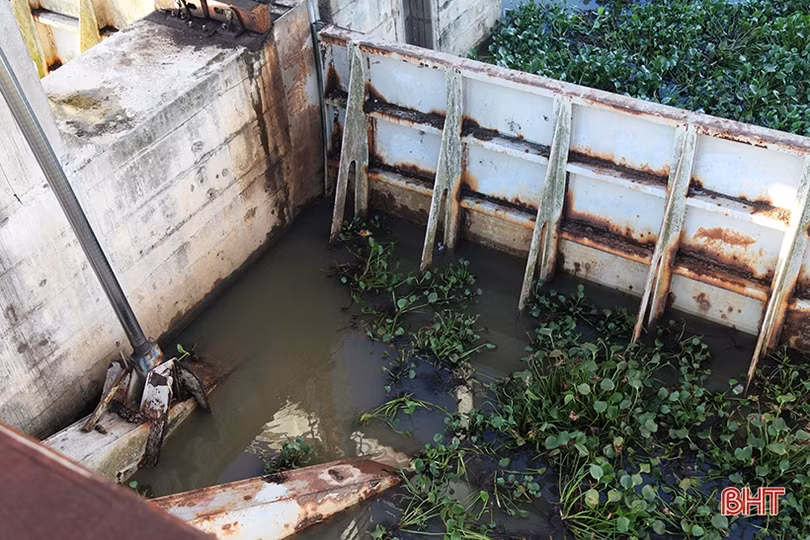 Nhiều hạng mục xuống cấp, bara Đò Điệm gặp khó trong vận hành tiêu thoát