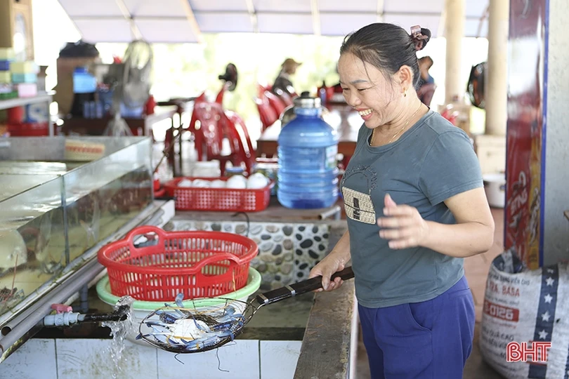 Chủ nhà hàng tại các khu du lịch biển Hà Tĩnh phấn khởi vì “thắng đậm”