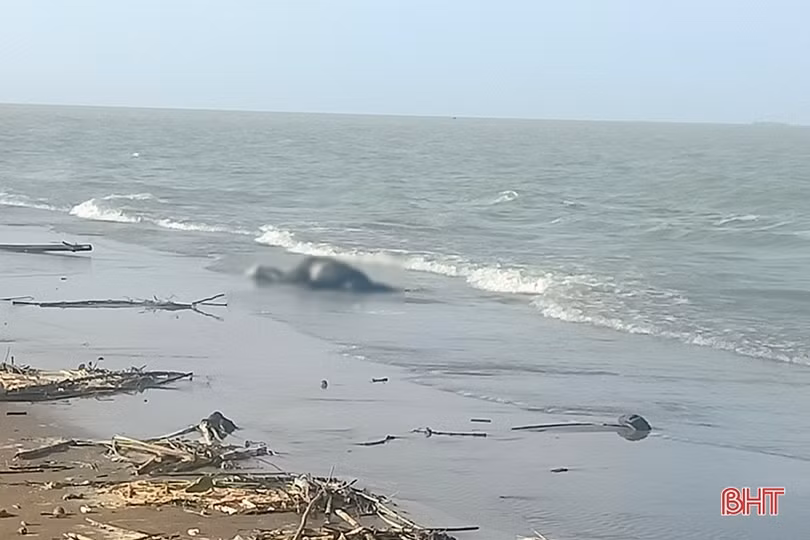 Phát hiện thi thể trôi dạt vào bờ biển Nghi Xuân