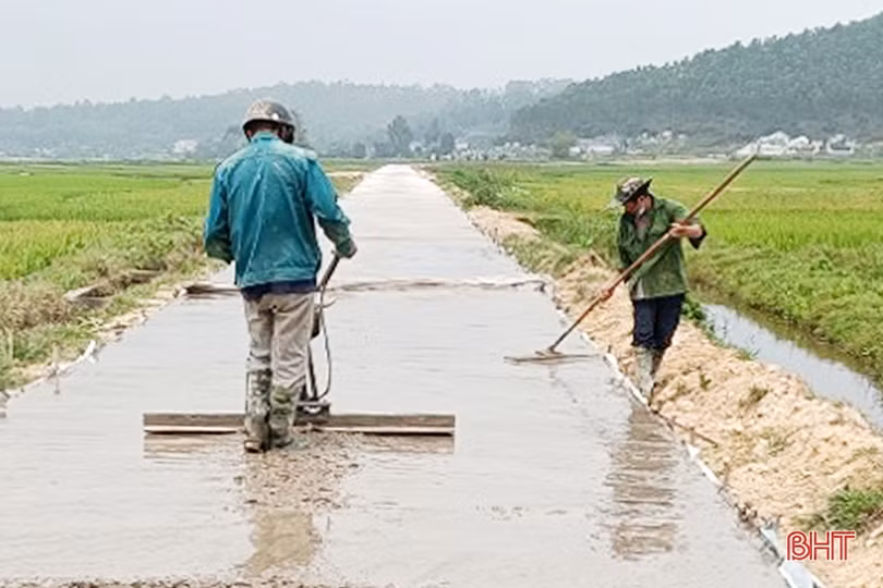 Hồng Lộc hướng đến mục tiêu mỗi hộ chỉ sản xuất trên một thửa ruộng diện tích lớn
