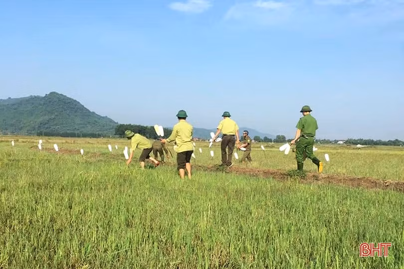 Thu giữ hơn 22.000 dụng cụ bẫy chim ở Nghi Xuân