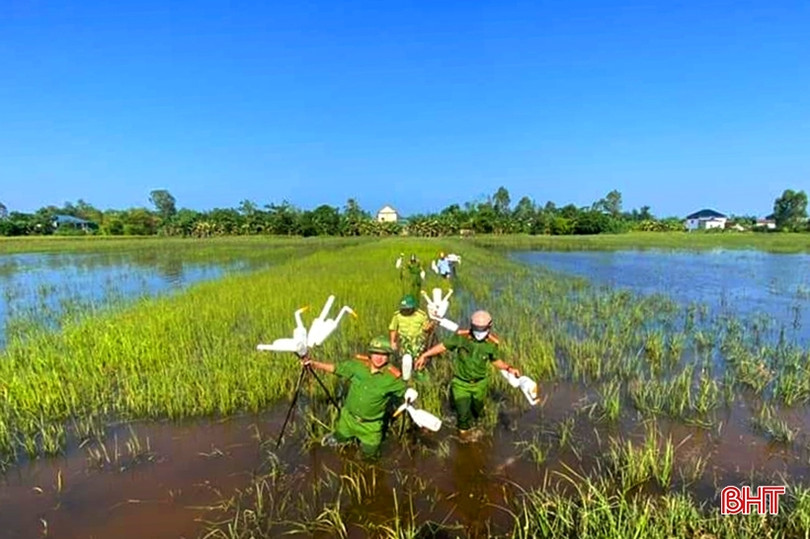 Thu giữ hơn 22.000 dụng cụ bẫy chim ở Nghi Xuân