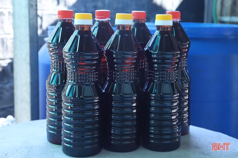 Nữ bí thư chi bộ dân vận khéo, làm kinh tế giỏi ở xã vùng biển Hà Tĩnh