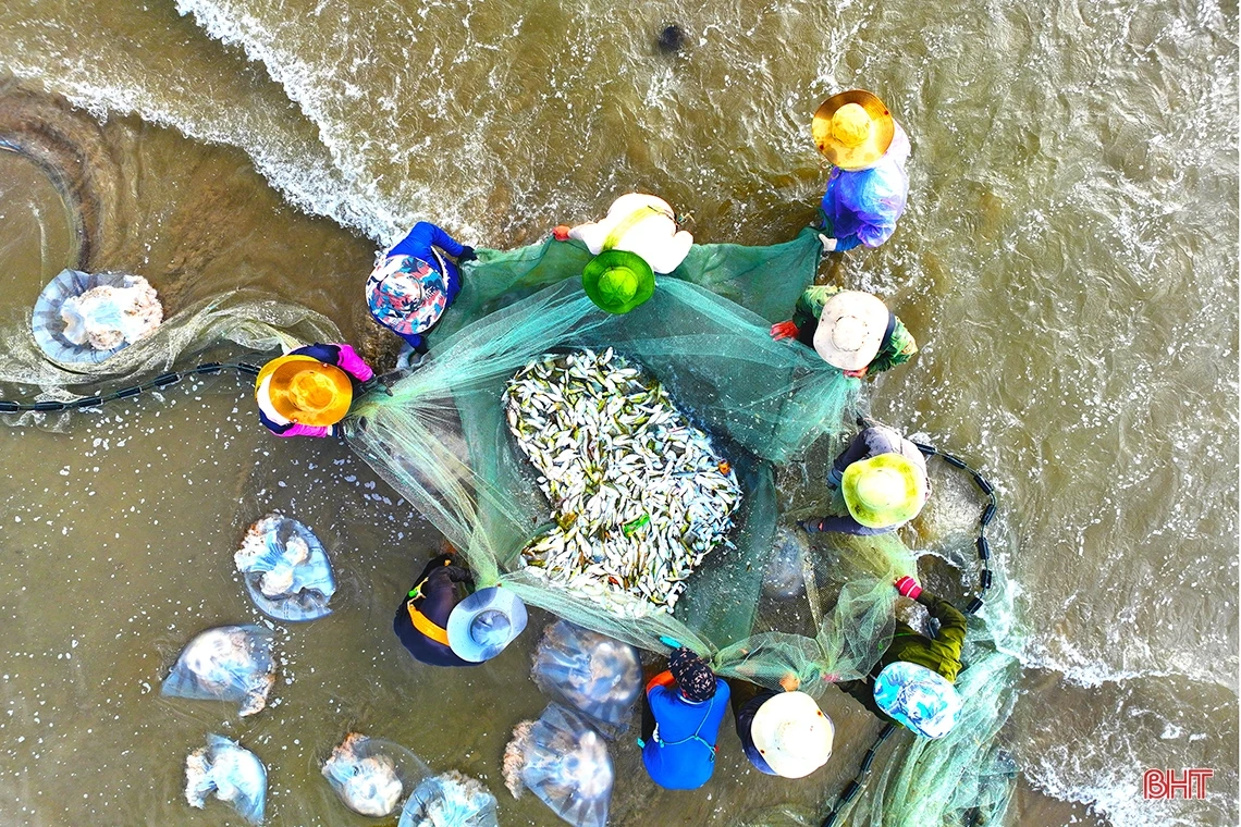 Xem ngư dân Nghi Xuân “đi giật lùi” kéo lưới rùng