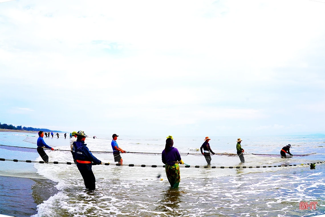 Xem ngư dân Nghi Xuân “đi giật lùi” kéo lưới rùng