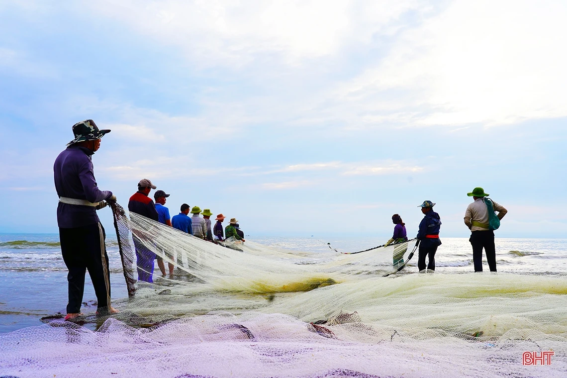 Xem ngư dân Nghi Xuân “đi giật lùi” kéo lưới rùng
