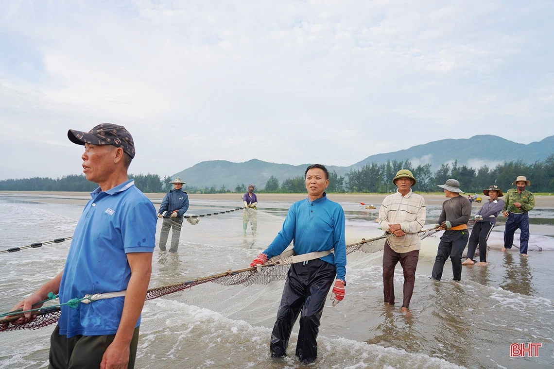 Xem ngư dân Nghi Xuân “đi giật lùi” kéo lưới rùng