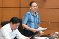 Đại biểu Quốc hội đề nghị tăng mức hình phạt với một số tội danh