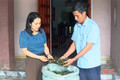 Chè vằng Cẩm Mỹ hướng tới sản phẩm OCOP