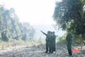 Những “ngôi sao xanh” lấp lánh