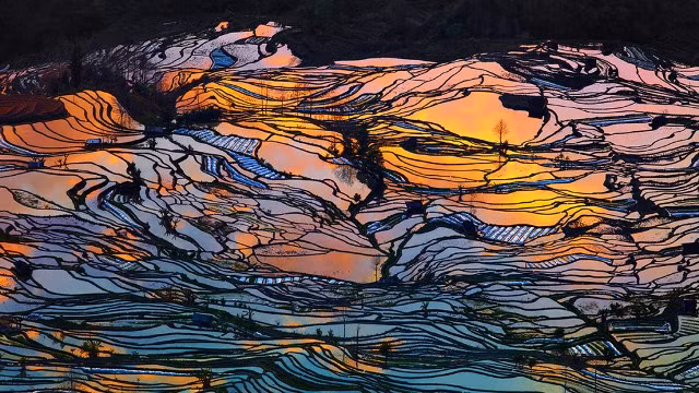 me man ngam nhung thua ruong bac thang dep nhu tranh ve