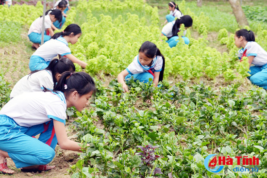 ky nang song hanh trang cho su phat trien toan dien cua tre