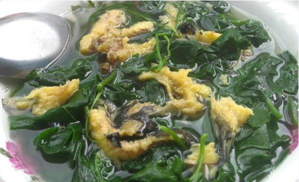 rau mong toi mon ngon vi thuoc tot ngay he