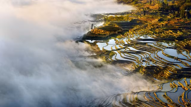 me man ngam nhung thua ruong bac thang dep nhu tranh ve