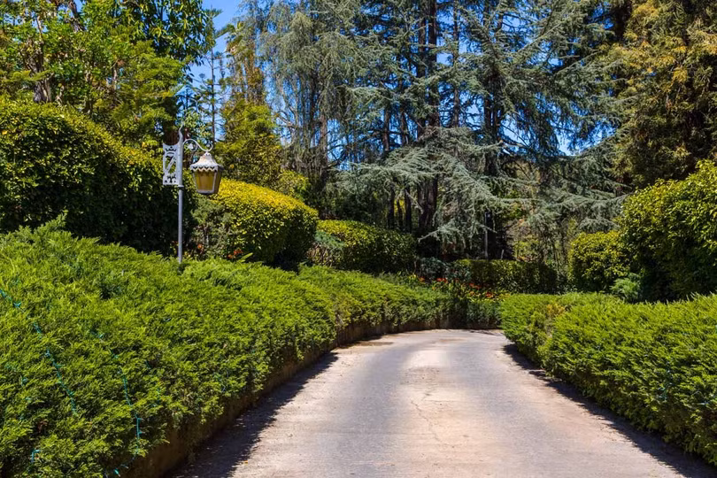 ong chu tap chi playboy chinh thuc ban dinh thu tho