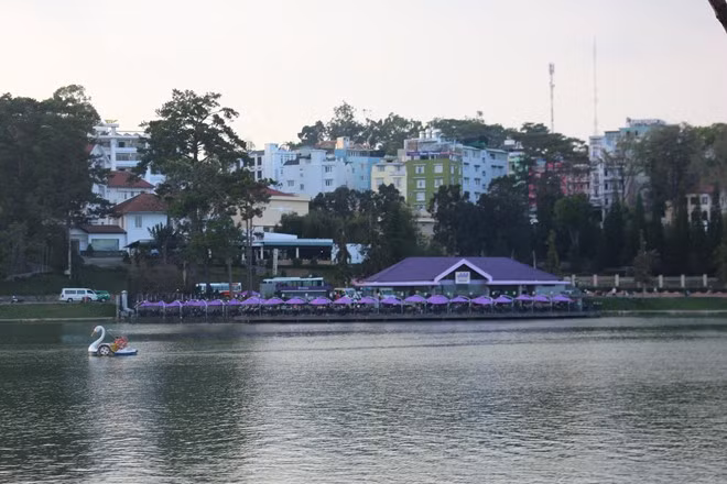 Đà Lạt có rất nhiều thứ quyến rũ tôi, như không khí se lạnh. Tôi còn yêu từng cánh hoa dã quỳ vàng ươm trên từng triền núi, yêu hàng thông xanh reo trong gió, yêu những con đường quanh co triền dốc mà tôi có thể đi bộ lang thang hàng giờ không biết mệt mỏi, chỉ để ngắm những mái hiên nhà đầy hoa hay một hàng mimosa vàng ươm trong nắng. da lat mua he va nhung dieu bat ngo thu vi