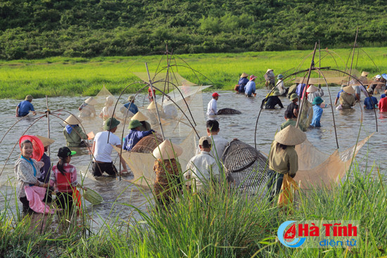 dac sac le hoi danh ca dong hoa