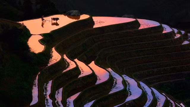 me man ngam nhung thua ruong bac thang dep nhu tranh ve