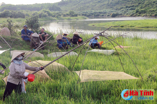 dac sac le hoi danh ca dong hoa
