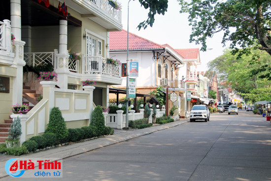 bung hua na tham tinh huu nghi