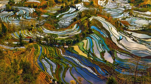 me man ngam nhung thua ruong bac thang dep nhu tranh ve