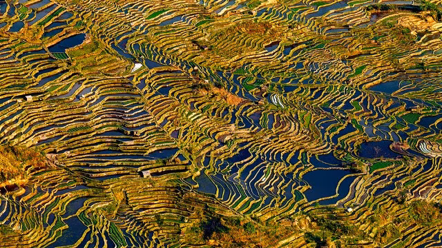 me man ngam nhung thua ruong bac thang dep nhu tranh ve