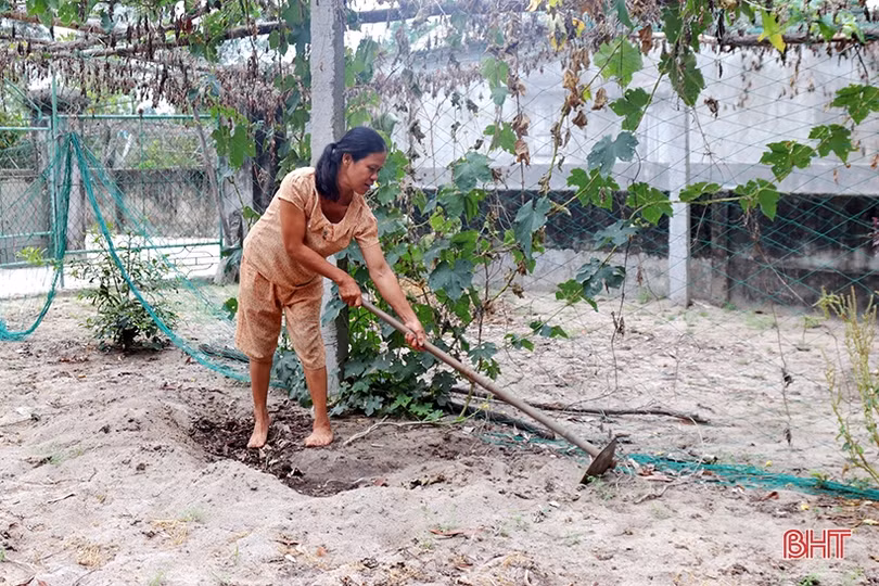 Hà Tĩnh tiếp tục đề nghị dừng dự án khai thác mỏ sắt Thạch Khê