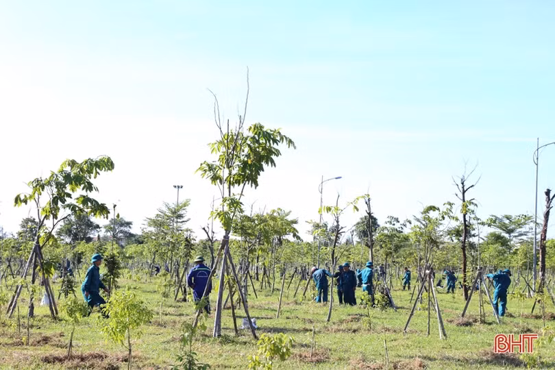 Thành Sen - khát vọng đô thị xanh