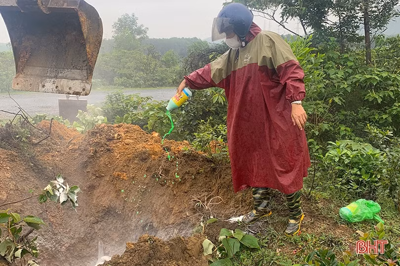 Vứt lợn chết bên quốc lộ 1 đoạn qua thị xã Kỳ Anh