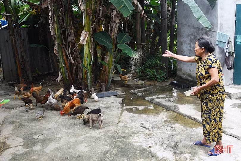 Đa dạng hóa mô hình sinh kế, giảm nghèo bền vững ở huyện Kỳ Anh