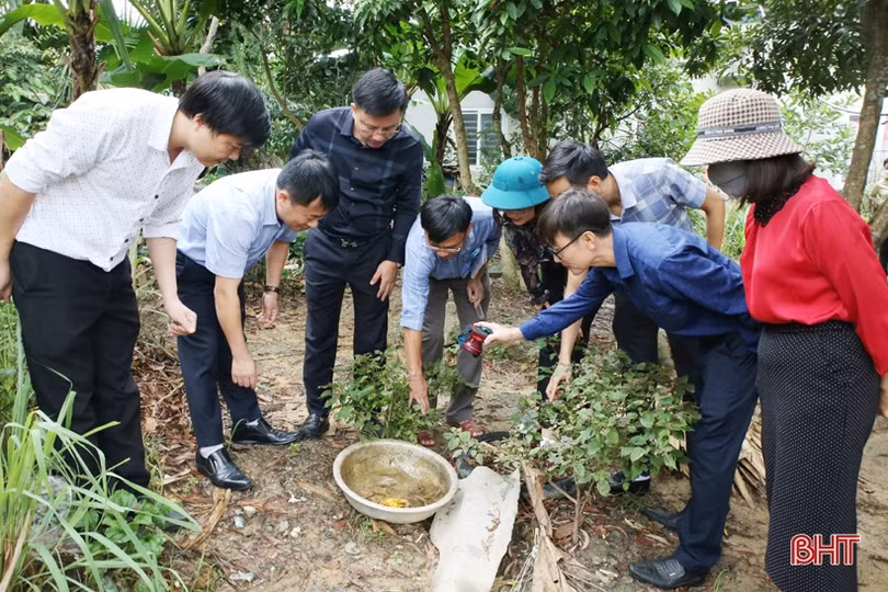 Khống chế thành công ổ dịch sốt xuất huyết đầu tiên tại Hà Tĩnh