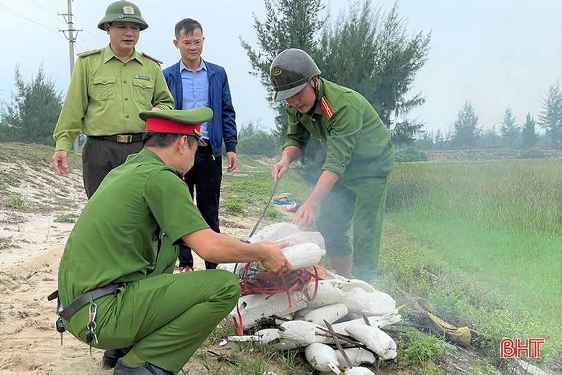 Thạch Hà thu giữ 2.665 chim mồi giả