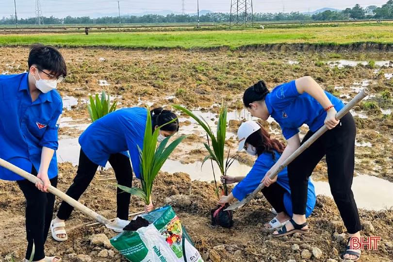 Thành Sen - khát vọng đô thị xanh